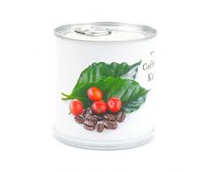 Kaffee - Blumen in der Dose von MacFlowers