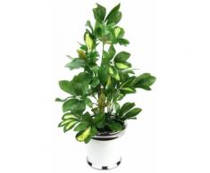 Home affaire Kunstpflanze »Schefflera« grün