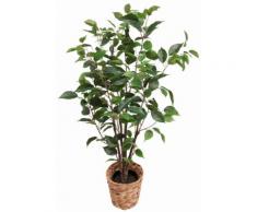 Home affaire Kunstpflanze , »Ficus«