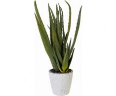 Home affaire Kunstpflanze grün, »Aloe«