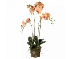 Emerald Kunstpflanze Phalaenopsis mit Moos Orange 419150