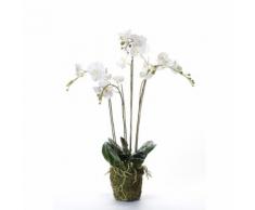 Emerald Kunstpflanze Phalaenopsis mit Moos Weiß 90 cm 20.355