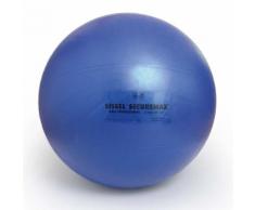 Sissel Gymnastikball Securemax Professional 55 cm Blau SIS-160.050