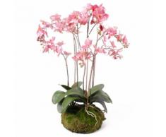 Emerald Kunstpflanze Phalaenopsis mit Moos Rosa 75 cm 417662