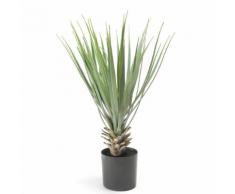 Emerald Kunstpflanze Yucca Rostrata Grün 50 cm 11.634C