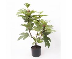 Emerald Kunstpflanze Feigenbaum Grün 75 cm 11.961C