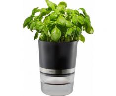 GEFU Kräutertopf Botanico schwarz Gewürzständer Kochen Backen Haushaltswaren Pflanzgefäße