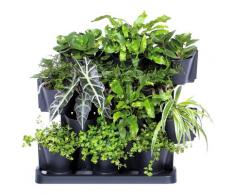 Prosperplast Pflanzentreppe Cascade Garden, (1 St.) grau Pflanzgefäße Blumenvasen Wohnaccessoires