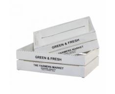 Kiste Green&Fresh, 2er Set weiß Körbe Boxen Regal- Ordnungssysteme Küche Ordnung