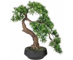 Creativ green Kunstbonsai Bonsai Podocarpus (1 Stück) grün Künstliche Zimmerpflanzen Kunstpflanzen Wohnaccessoires