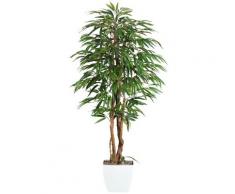 Gasper Kunstpflanze Weeping-Ficus, grün, grün