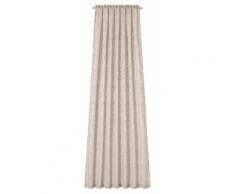 Neutex for you Vorhang Florenti, HxB: 245x146, Schal mit verdeckten Schlaufen beige Wohnzimmergardinen Gardinen nach Räumen Vorhänge