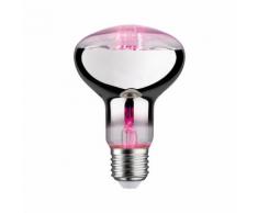 Paulmann Grow Green Pflanzenlampe R80 E27 6,5 W LED-Leuchtmittel EEK B silberfarben LED Leuchtmittel Lampen Leuchten