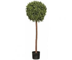 Gasper Kunstpflanze Buchskugelbaum, grün, grün