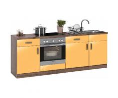 wiho Küchen Küchenzeile Tacoma, mit E-Geräten, Breite 220 cm EEK A orange Küchenzeilen Geräten -blöcke Küchenmöbel Arbeitsmöbel-Sets