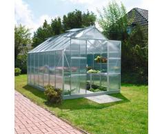 KONIFERA Gewächshaus, Calisto 11500, (Set, mit Fundamentrahmen) silberfarben Gewächshäuser Garten Balkon
