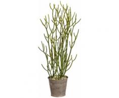 Gasper Kunstpflanze Euphorbia tirucalli, grün, grün