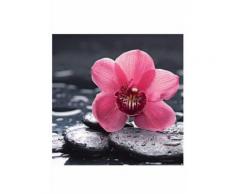 Home affaire Glasbild Still life with pepple and macro of orchid water drops rosa Glasbilder Bilder Bilderrahmen Wohnaccessoires