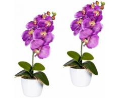 Gasper Kunstpflanze Orchidee Phalaenopsis (Set 2 Stück), lila, lila