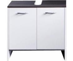 trendteam Waschbeckenunterschrank San Diego, weiß, weiß/rauchsilberfarben