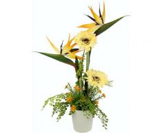 I.GE.A. Kunstblume Arrangement Strelitzie/Gerbera, Topf aus Keramik orange Garten Balkon Kunstpflanzen