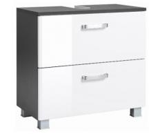 HELD MÖBEL Waschbeckenunterschrank Ravenna Breite 60 cm mit Soft-Close-Funktion, weiß, grafit/weiß