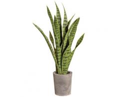 Gasper Kunstpflanze Sanseveria, grün, grün