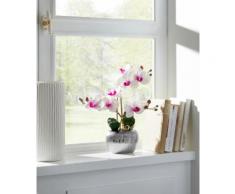 Home affaire Kunstpflanze Orchidee weiß Kunstorchideen Kunstpflanzen Wohnaccessoires