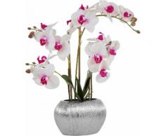 Home affaire Kunstpflanze Orchidee, (1 St.), Kunstorchidee, im Topf lila Künstliche Zimmerpflanzen Kunstpflanzen Wohnaccessoires