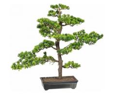 Creativ green Kunstbonsai Bonsai Podocarpus (1 Stück) grün Künstliche Zimmerpflanzen Kunstpflanzen Wohnaccessoires