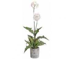 Gasper Kunstpflanze Pusteblumenbusch, weiß, weiß