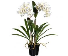 Kunstorchidee CREATIV GREEN "Dendrobie" Kunstpflanzen weiß in Keramikvase