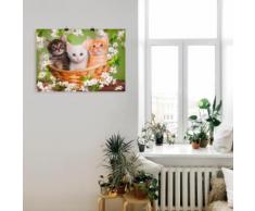 Artland Wandbild Katzen sitzen in einem Korb grün Bilder Bilderrahmen Wohnaccessoires
