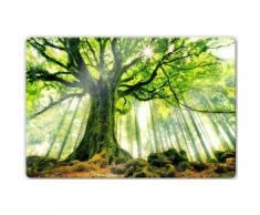 Glasbild Kiciak - Märchenwald grün Glasbilder Bilder Bilderrahmen Wohnaccessoires