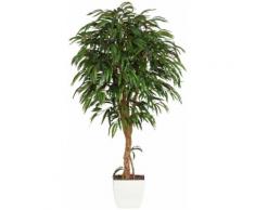 Gasper Kunstpflanze Weeping-Ficus, grün, grün