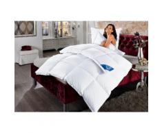 Set: Daunenbettdecken + Kopfkissen + Gratis-Kissen Wien Excellent Extrawarm 90% Daunen 10% Federn, Extrawarm