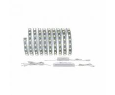 Paulmann LED-Streifen LED-Strip Set 3m Streifen Tunable White beschichtet Reflex, 1 St.-flammig weiß LED-Lampen LED-Leuchten SOFORT LIEFERBARE Lampen Leuchten