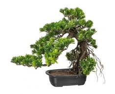 Creativ green Kunstbonsai Bonsai Podocarpus (1 Stück) grün Künstliche Zimmerpflanzen Kunstpflanzen Wohnaccessoires