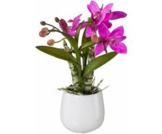 Creativ green Kunstpflanze (1 Stück) rosa Kunstorchideen Kunstpflanzen Wohnaccessoires