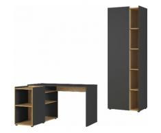 GERMANIA Büro-Set GW-Austin, (Set, 2-tlg.) grau Made in Germany - Möbel