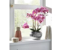 Home affaire Kunstpflanze Orchidee lila Kunstorchideen Kunstpflanzen Wohnaccessoires