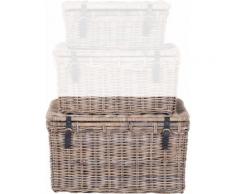 Homexperts Truhe (1 Stück Im Set 54929718 sind 3 Truhen erhalten), grau, grau