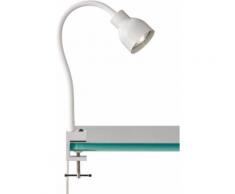 FISCHER & HONSEL,Klemmleuchte Kevin weiß Leselampen Lampen Leuchten