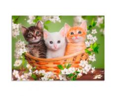 Artland Wandbild Katzen sitzen in einem Korb grün Bilder Bilderrahmen Wohnaccessoires