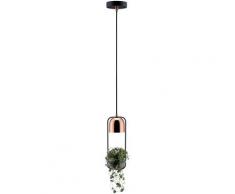 Paulmann LED Pendelleuchte Neordic Fanja, GU10, 1 St., 1-flammig Pflanzenleuchte Schwarz/Kupfer schwarz Deckenleuchten Lampen Leuchten sofort lieferbar