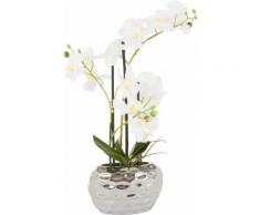 Leonique Kunstpflanze Orchidee, (1 St.), Kunstorchidee, im Topf silberfarben Künstliche Zimmerpflanzen Kunstpflanzen Wohnaccessoires