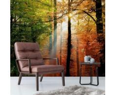 Vliestapete Goldener Herbst bunt Fototapeten Tapeten Bauen Renovieren