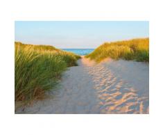 Fototapete Sandy Path Komar Strand, bunt, blau
