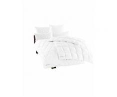 OBB Kissen (Schurwolle) beige Allergiker Kopfkissen Bettdecken, Unterbetten