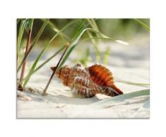 Artland Glasbild Große Muschel am Strand beige Glasbilder Bilder Bilderrahmen Wohnaccessoires